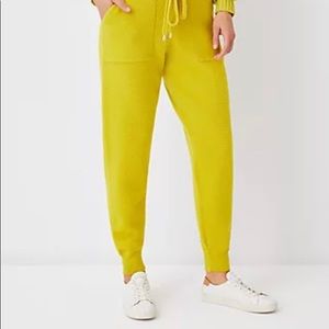 Ann Taylor Sweater Jogger Pants (XL)